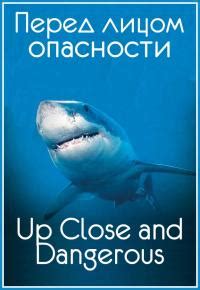 Мощный характер и стойкость перед лицом опасности