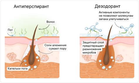 Нанесение антиперспиранта утром