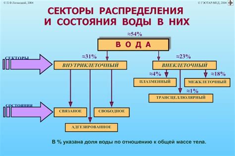 Нарушение баланса воды и утонение черепахи