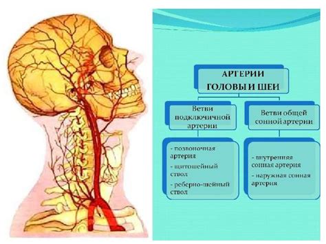 Нарушение кровоснабжения головы