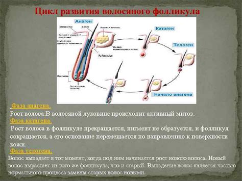 Насколько болезненно происходит лопание фолликула?