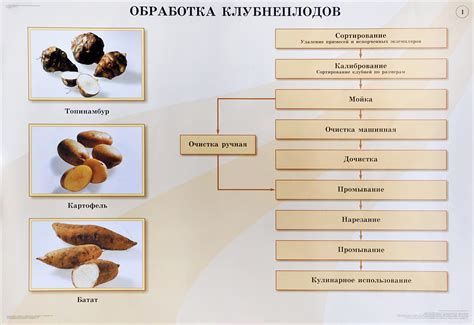 Насколько эффективно маринование без предварительной обработки?