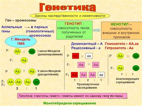 Наследственность в определении пола по крови