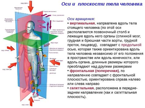 Нематериальное тело: понятие и определение