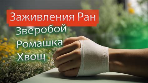 Непосредственное участие пузыря в заживлении