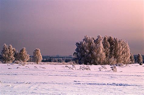 Несокрушимые равнины настоящих зим