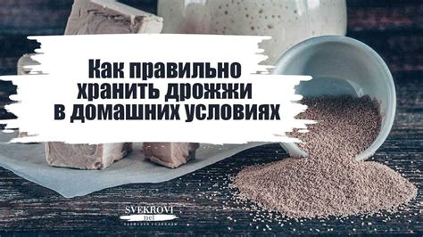 Нюансы хранения и сроки годности дрожжей для виноделия