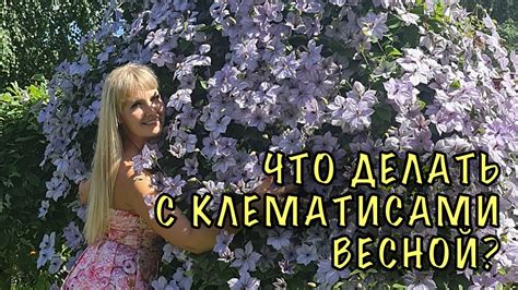 Облегчение ухода весной