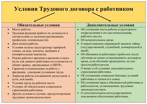 Обязательные условия трудового договора для директора