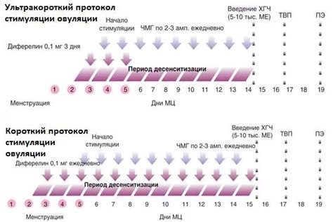 Ограничения при занятиях спортом при стимуляции ЭКО