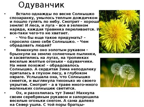 Одуванчик в начале своего пути: яркий и распустившийся