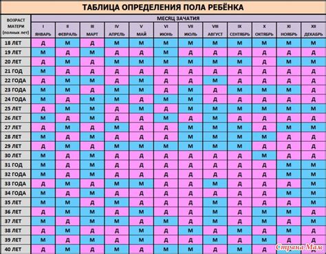 Ожидаемая дата и пол пятого ребенка Порошиной