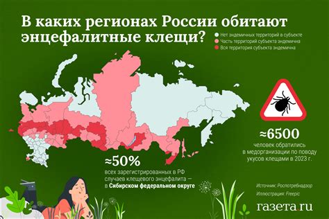 Опасаются ли все клещи в России?