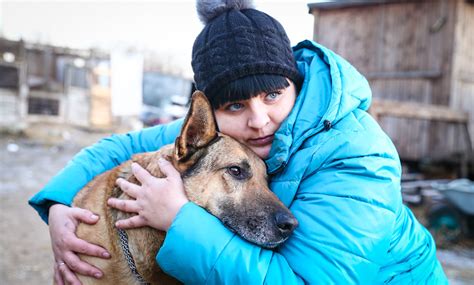 Опасность для здоровья собаки