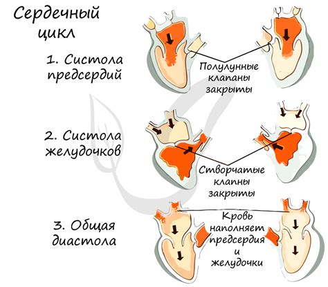 Описание и функции клапанов