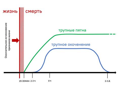 Определение биологической смерти