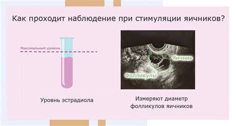 Определение момента овуляции для планирования беременности