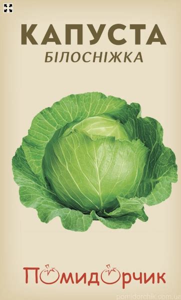 Определение оптимального времени посадки зимней капусты