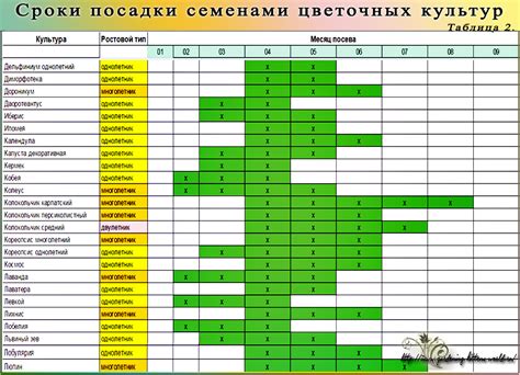 Определение оптимальных сроков для посадки семян многолетних цветов