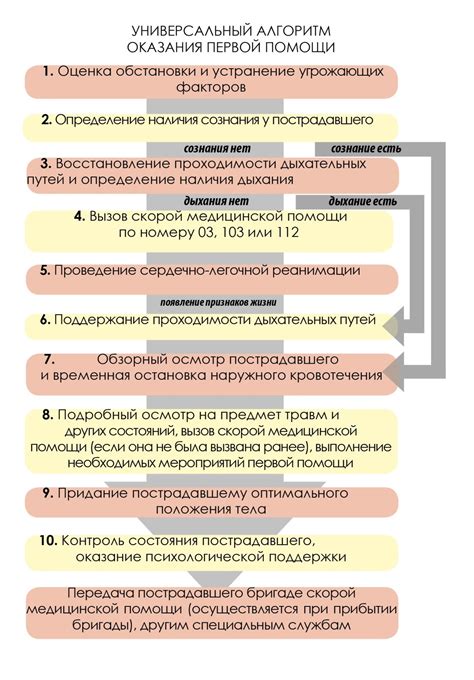 Определение состояния пострадавшего и безопасности места происшествия