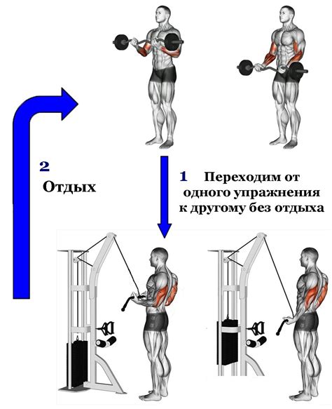 Оптимальное время между тренировкой и массажем: физиологические факторы