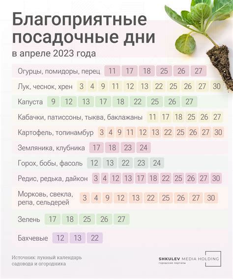 Оптимальные даты сева лука в марте