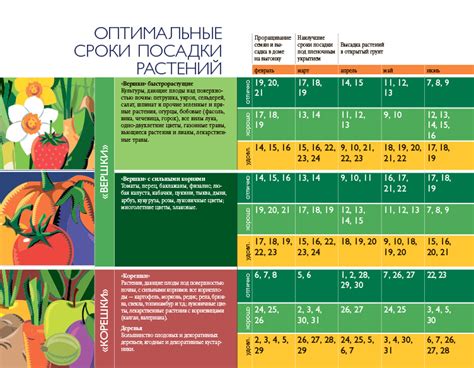 Оптимальные условия для посадки и выращивания