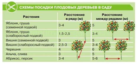 Оптимальные условия для посадки на юге