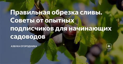 Опытные советы от опытных садоводов