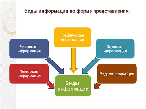 Организация и дополнительная информация