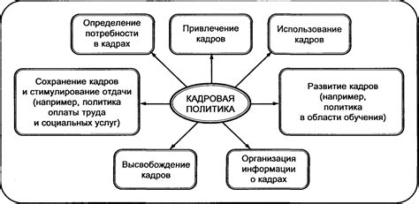 Организация работы филиала: кадровая политика и системы управления