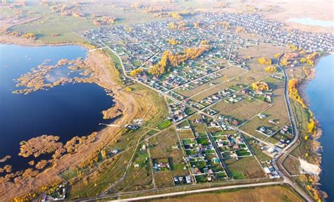 Осень - идеальное время для покупки гусят