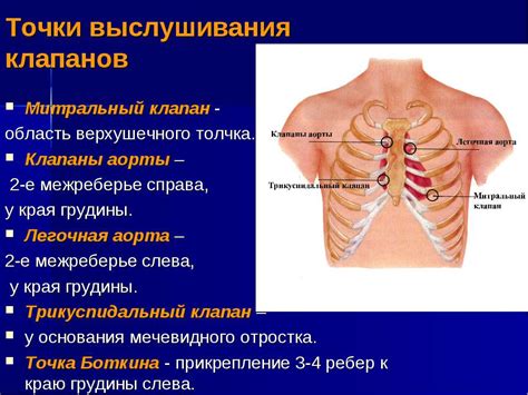 Ослабление мышц сердца