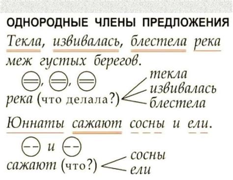 Осложнение предложения с помощью дополнительных членов