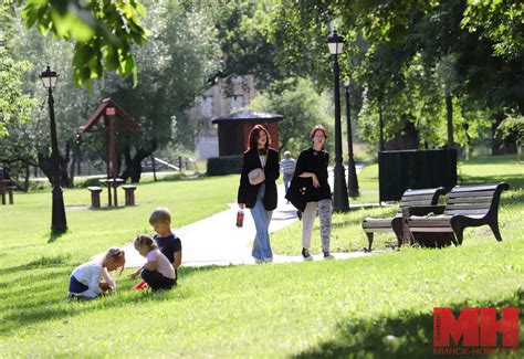 Ослята в парках и скверах