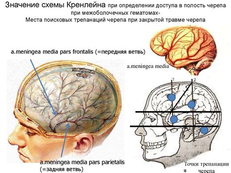 Основание первого отдела нейропсихиатрии