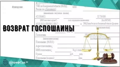 Основные правила возврата государственной пошлины