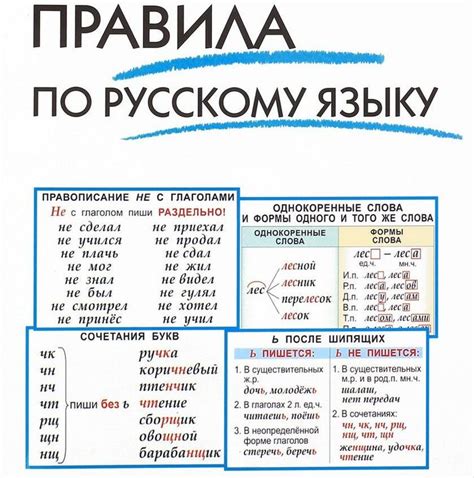 Основные правила применения буквы "ш" и "шь" в русском языке