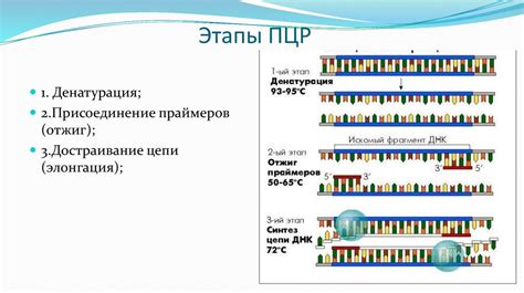 Основные преимущества проведения повторного ПЦР с определенной частотой