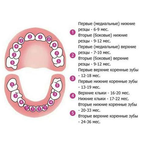 Основные симптомы роста моляров у детей