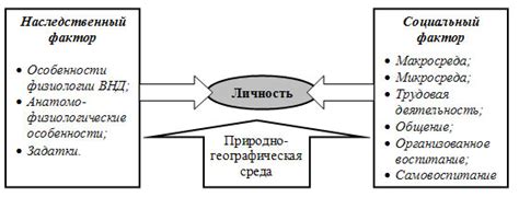 Основные факторы развития чупа