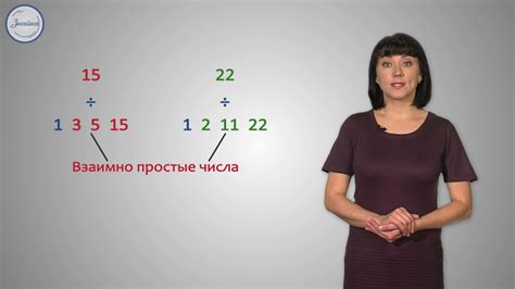 Основы математики: что такое числа?