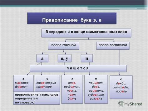 Основы написания букв "е" и "э" в разных словах