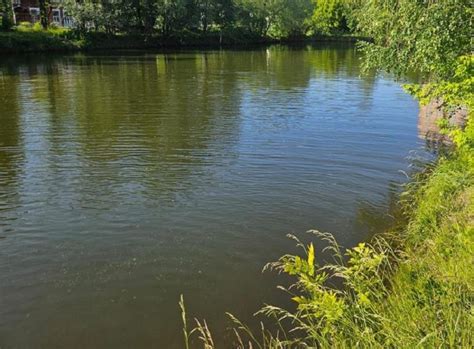 Особенности водоохранной зоны пруда: требования и участники