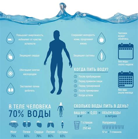 Особенности питья воды при сушке для различных типов тренировок