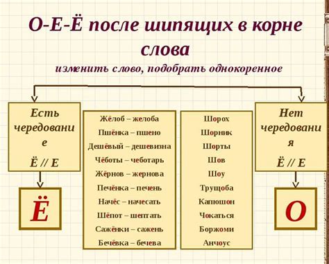 Особенности правописания буквы "э" в различных словах