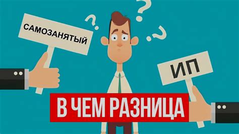 Ответственность ИП и работников: различия и последствия