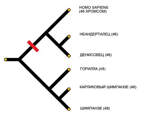 Отклонение от общего предка