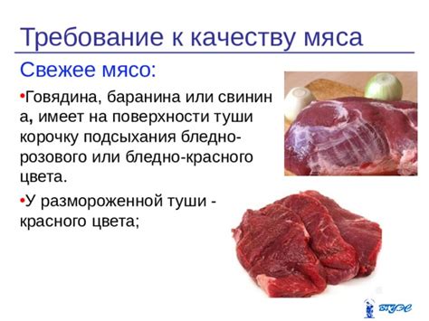 Оценка влажности мяса