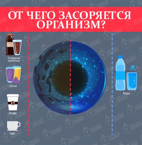 Очищение организма: миф или реальная необходимость?